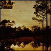 Silver Jews - Starlite Walker (LP)