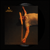 Saint Raymond - We Forgot We Were Dreaming (LP)