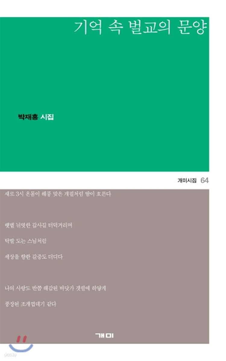 기억 속 벌교의 문양