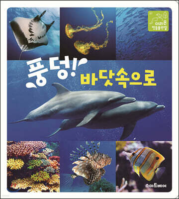 풍덩! 바닷속으로