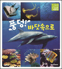 풍덩! 바닷속으로