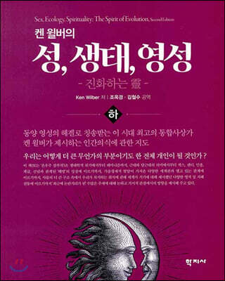 켄 윌버의 성, 생태, 영성: 진화하는 靈 (하)