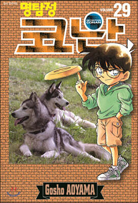 명탐정 코난 29