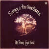 Sunny & The Sunliners (써니 앤 썬라이너스) - Mr Brown Eyed Soul [LP]