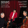 G'rard Poulet 브람스: 피아노 트리오 전집 (Brahms: Complete Piano Trios)