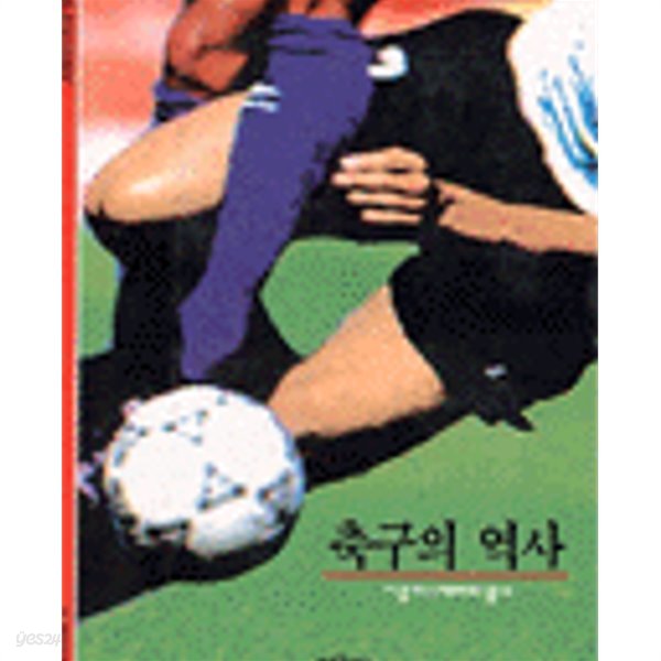 축구의 역사 (시공 디스커버리 총서 96) 