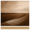 Brian Eno (브라이언 이노) - Small Craft on a Milk Sea [2LP]