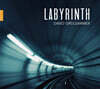 데이비드 그레일세머 콘서트 프로젝트 레코딩 (David Greilsammer: Labyrinth)