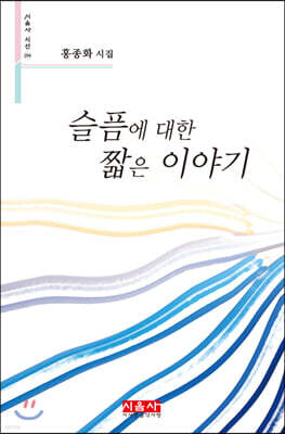 슬픔에 대한 짧은 이야기 - 시음사 시선 294