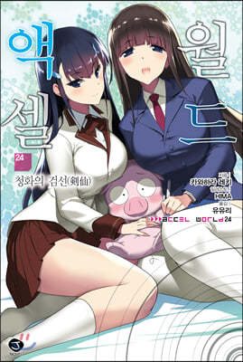 액셀 월드 (ACCEL WORLD) 24 