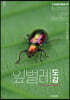 잎벌레 도감