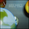 Audio Karate - Space Camp (Crystal Clear LP)
