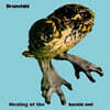 Brainchild (브레인차일드) - Healing Of The Lunatic Owl [LP]
