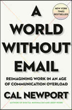 A World Without Email: Reimagining Work in an Age of Communication Overload