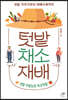 텃밭 채소 재배