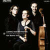 Van Baerle Trio 베토벤: 피아노 트리오 전곡, 삼중 협주곡 Op.56 (Beethoven: Complete Works For Piano Trio)