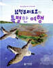넓적부리도요의 특별한 여행