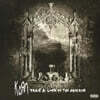 Korn (콘) - Take A Look In The Mirror [2LP]