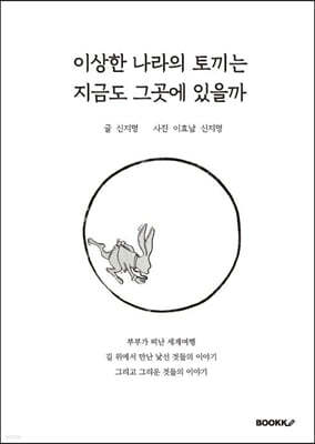 이상한 나라의 토끼는 지금도 그곳에 있을까