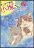 キジトラ猫の小梅さん 22