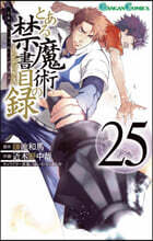 とある魔術の禁書目錄  25