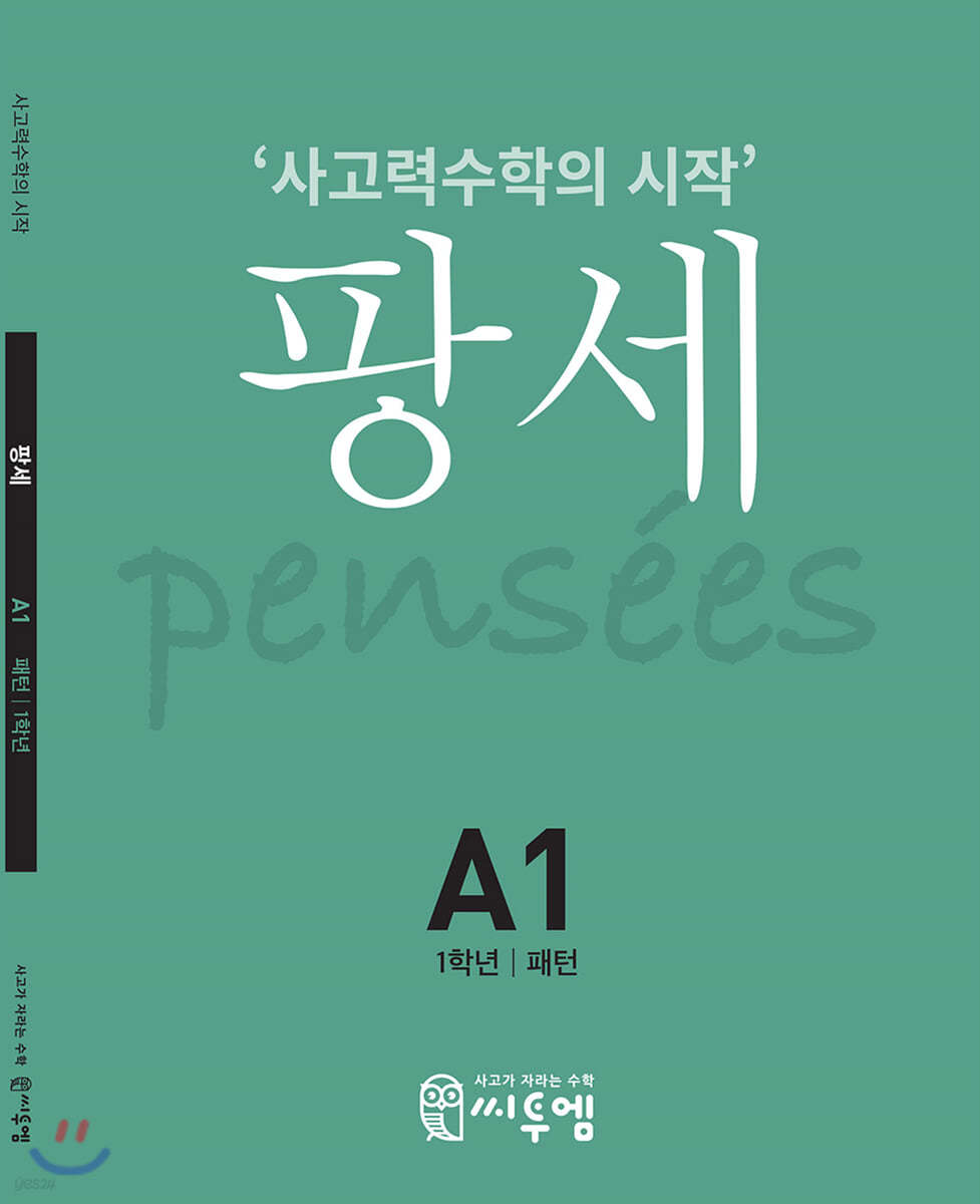 팡세 A-1 패턴