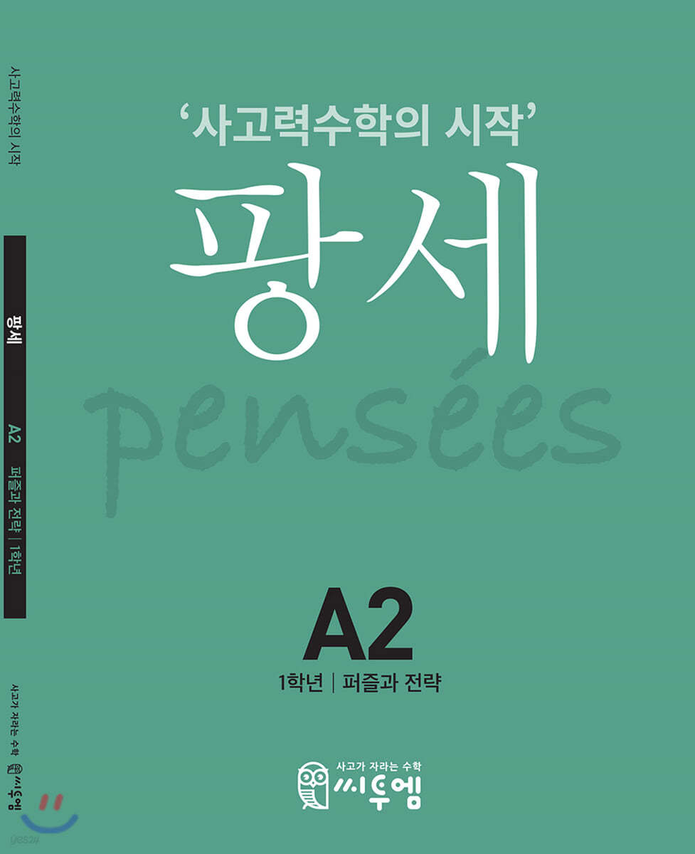 팡세 A-2 퍼즐과 전략