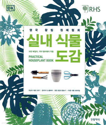 실내 식물 도감