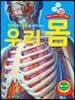 우리 몸
