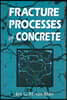 Fracture Processes of Concrete