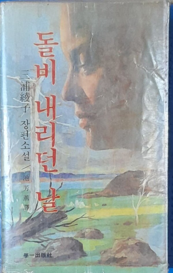 돌비 내리던 날 (삼포능자장편소설)-1980년초판발행