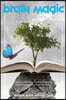 Brain Magic: The Memory Code