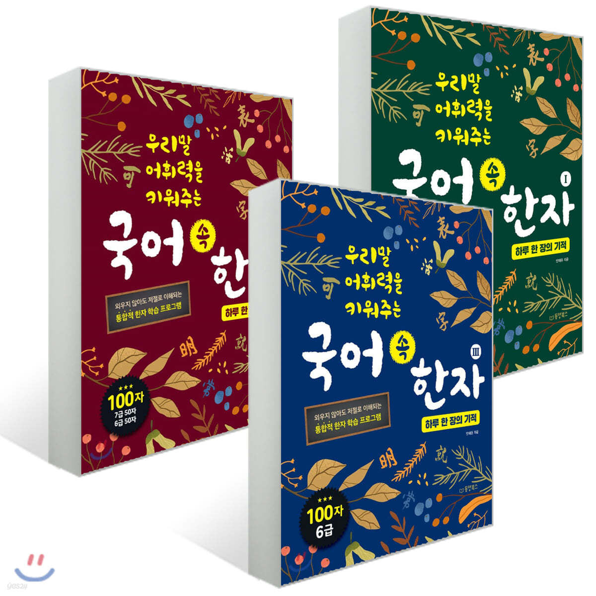 국어 속 한자 : 하루 한 장의 기적 3권 세트