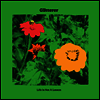 Glitterer - Life Is Not A Lesson (LP)