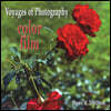 Voyages of Photography: color film