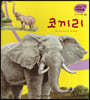 세밀화 자연관찰 03 코끼리