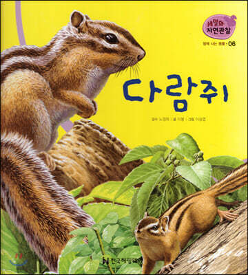 세밀화 자연관찰 06 다람쥐