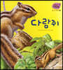 세밀화 자연관찰 06 다람쥐