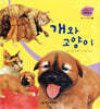 세밀화 자연관찰 08 개와 고양이