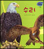 세밀화 자연관찰 14 수리