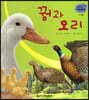 세밀화 자연관찰 19 꿩과 오리