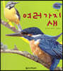 세밀화 자연관찰 21 여러 가지 새