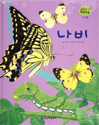 세밀화 자연관찰 22 나비