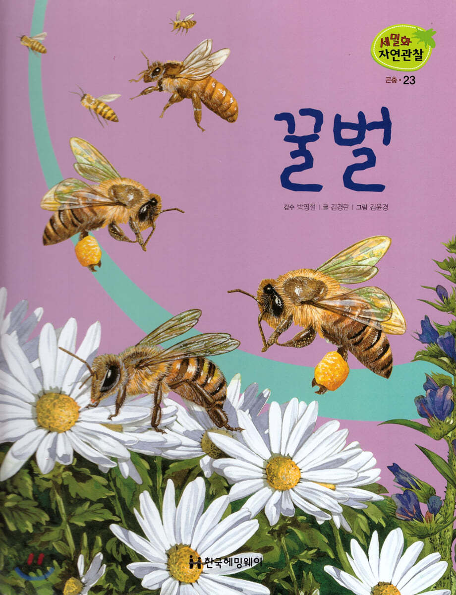 세밀화 자연관찰 23 꿀벌