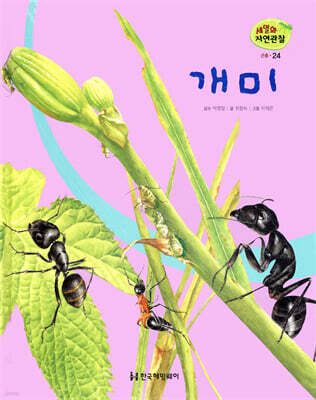 세밀화 자연관찰 24 개미