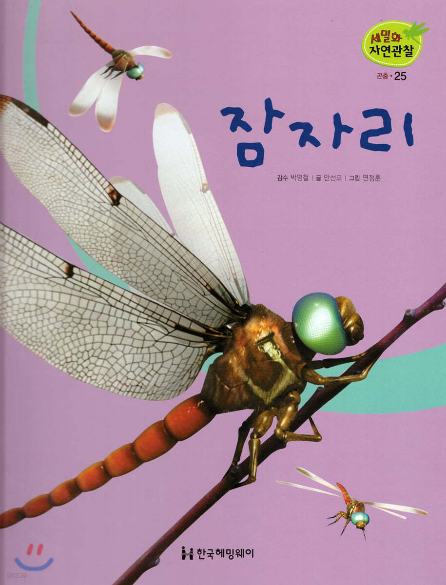 세밀화 자연관찰 25 잠자리