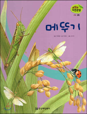 세밀화 자연관찰 26 메뚜기