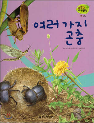 세밀화 자연관찰 29 여러 가지 곤충