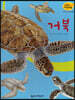 세밀화 자연관찰 31 거북
