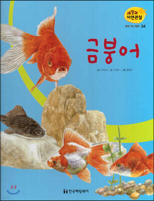 세밀화 자연관찰 34 금붕어